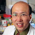 Rodney Ho, PhD, FAAAS, FAAPS
