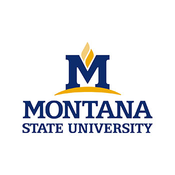 Montana State University.jpg