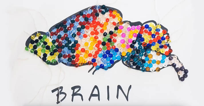Brain in colored cells