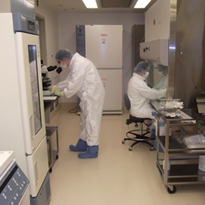 Gene and Cell Therapy Lab (GCTL) at the Institute of Translational Health Sciences