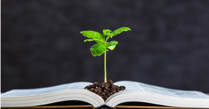 an open book is on a table and a plant shoot is growing out of a pile of soil in the middle of the book