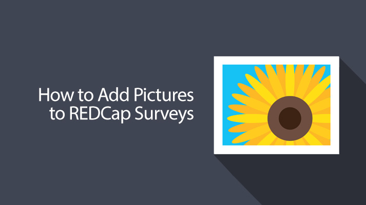 Adding Pictures to REDCap Surveys